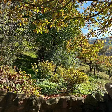 Dom Po Schodkach * Wlen