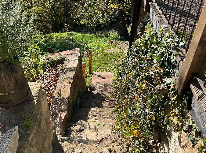 Villa Dom Po Schodkach Wlen