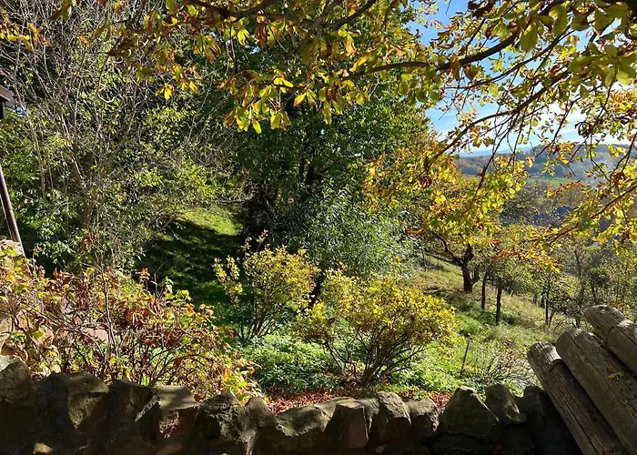 Dom Po Schodkach * Wlen